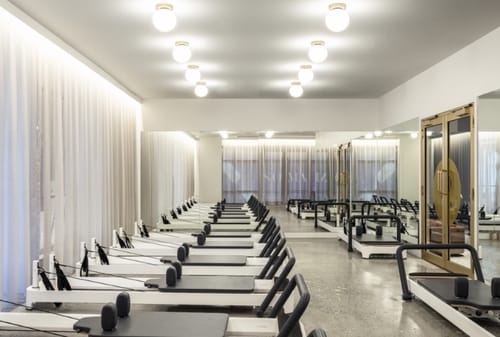 The Wellness Guide